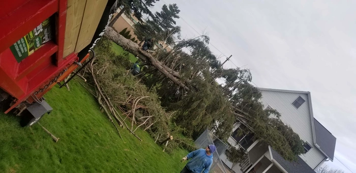 Lot Clearing